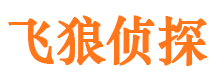 谯城侦探公司